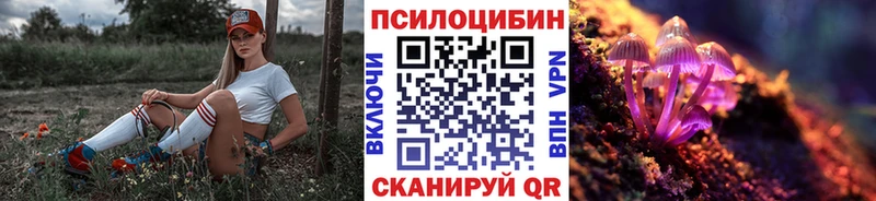 Псилоцибиновые грибы прущие грибы где купить наркоту Грайворон