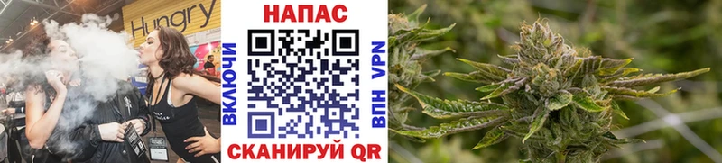 Бошки Шишки Amnesia  МЕГА зеркало  Грайворон  где продают  